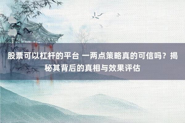 股票可以杠杆的平台 一两点策略真的可信吗？揭秘其背后的真相与效果评估