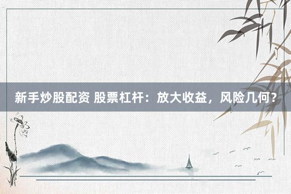 新手炒股配资 股票杠杆：放大收益，风险几何？