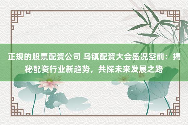 正规的股票配资公司 乌镇配资大会盛况空前：揭秘配资行业新趋势，共探未来发展之路