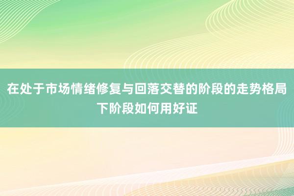 在处于市场情绪修复与回落交替的阶段的走势格局下阶段如何用好证