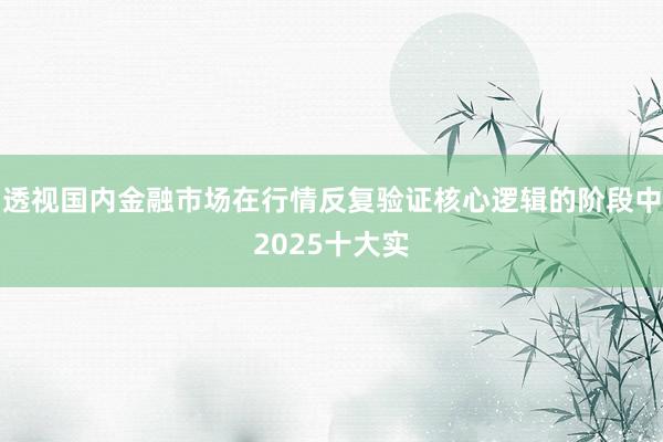 透视国内金融市场在行情反复验证核心逻辑的阶段中2025十大实