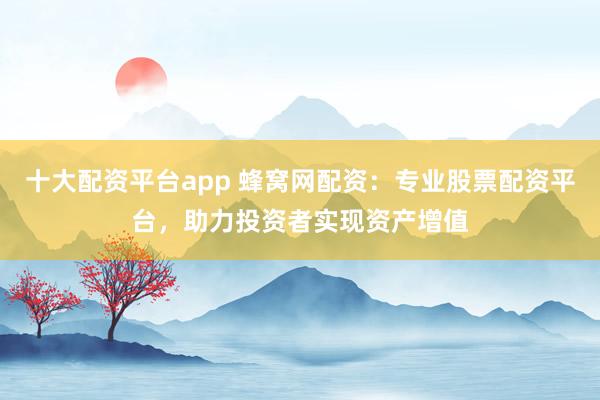 十大配资平台app 蜂窝网配资：专业股票配资平台，助力投资者实现资产增值